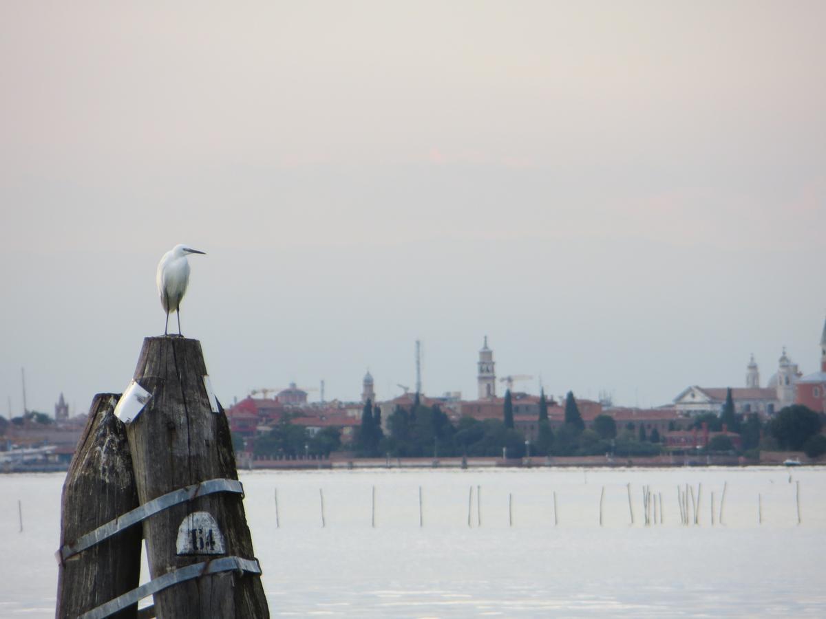 Villa Elisabetta Lido di Venezia Luaran gambar