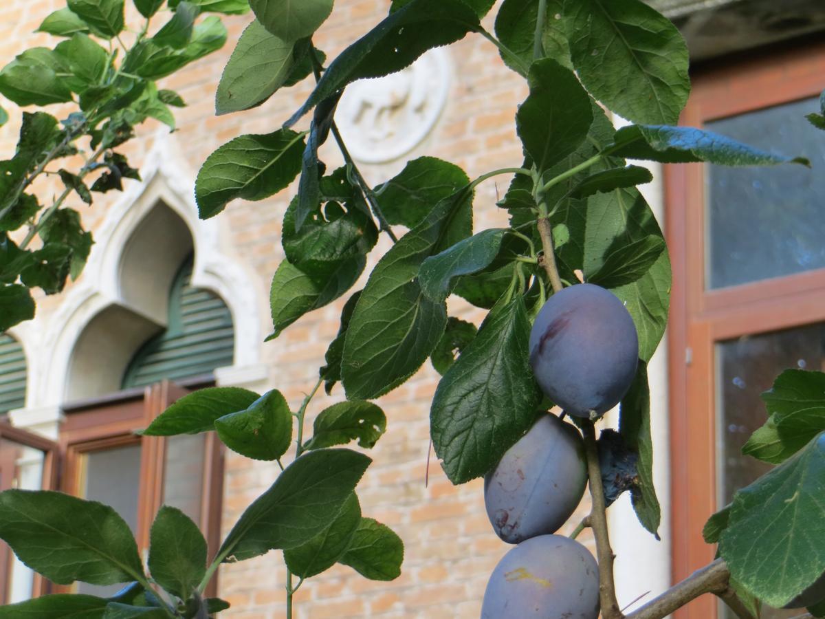 Villa Elisabetta Lido di Venezia Luaran gambar